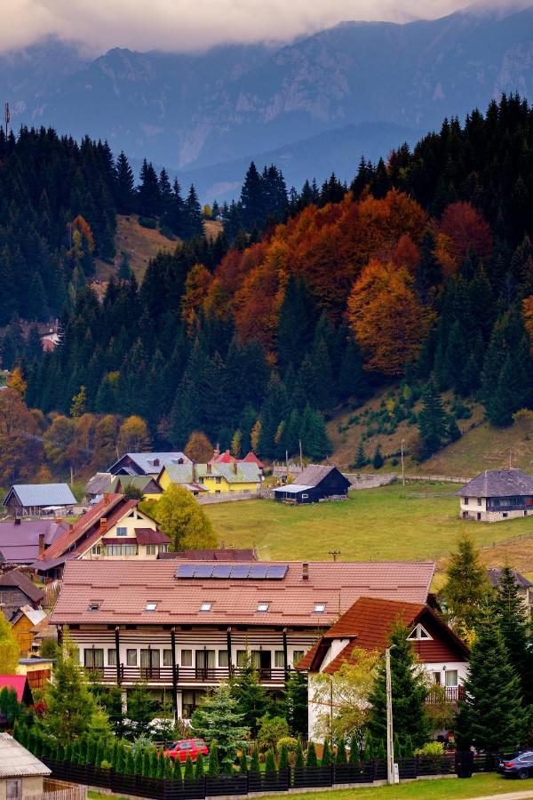 Готель Casa Muntelui Фундата Екстер'єр фото