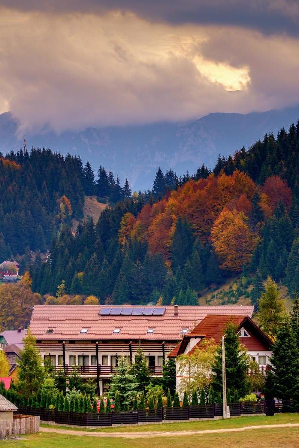 Готель Casa Muntelui Фундата Екстер'єр фото
